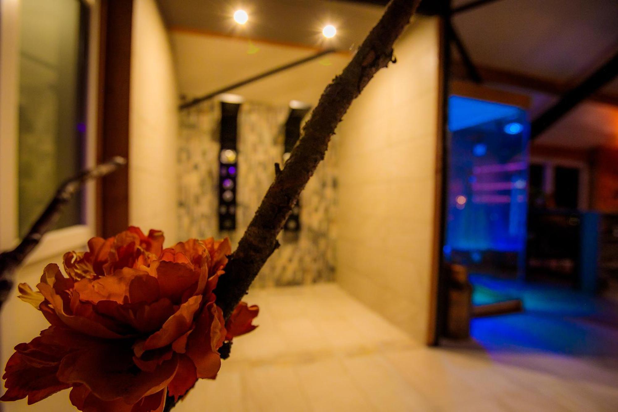 B&B En Wellness De Waalhoeve Angerlo Ngoại thất bức ảnh